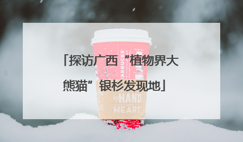 探访广西“植物界大熊猫”银杉发现地