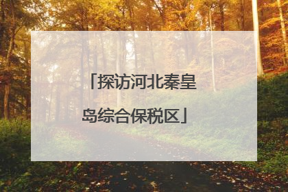 探访河北秦皇岛综合保税区