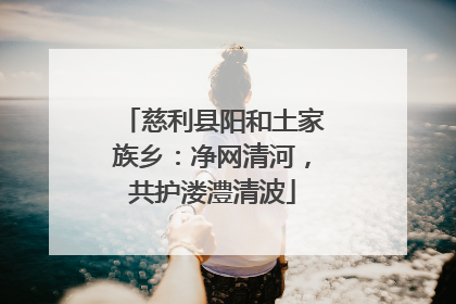 慈利县阳和土家族乡：净网清河，共护溇澧清波