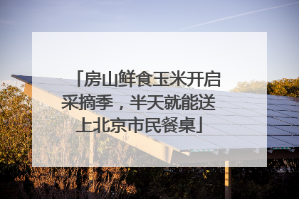 房山鲜食玉米开启采摘季，半天就能送上北京市民餐桌