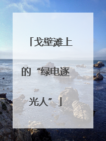 戈壁滩上的“绿电逐光人”