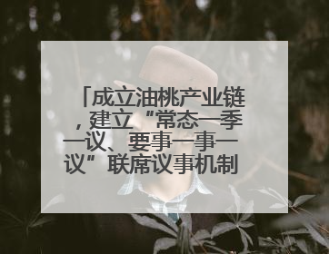 成立油桃产业链，建立“常态一季一议、要事一事一议”联席议事机制，山东省日照市莒县果庄镇——13个党小组“全周期”育果