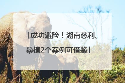 成功避险！湖南慈利、桑植2个案例可借鉴