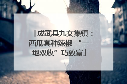 成武县九女集镇：西瓜套种辣椒 “一地双收”巧致富