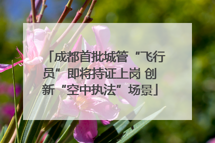 成都首批城管“飞行员”即将持证上岗 创新“空中执法”场景