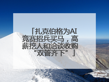 扎克伯格为AI竞赛招兵买马，高薪挖人和洽谈收购“双管齐下”
