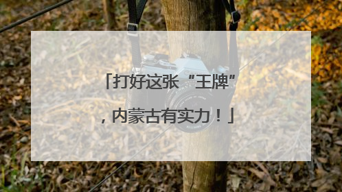 打好这张“王牌”，内蒙古有实力！