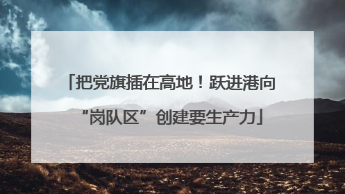 把党旗插在高地！跃进港向“岗队区”创建要生产力
