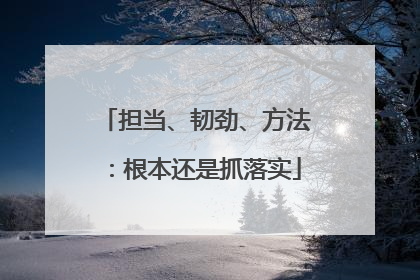 担当、韧劲、方法：根本还是抓落实