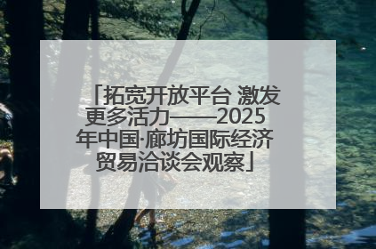 拓宽开放平台 激发更多活力——2025年中国·廊坊国际经济贸易洽谈会观察