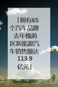拥有65个汽车品牌 去年槐荫区新能源汽车销售额达113.9亿元
