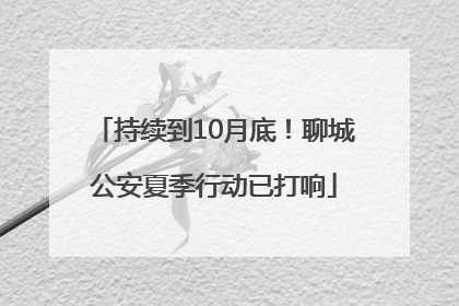 持续到10月底！聊城公安夏季行动已打响