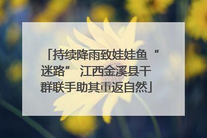 持续降雨致娃娃鱼“迷路” 江西金溪县干群联手助其重返自然