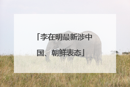 李在明最新涉中国、朝鲜表态