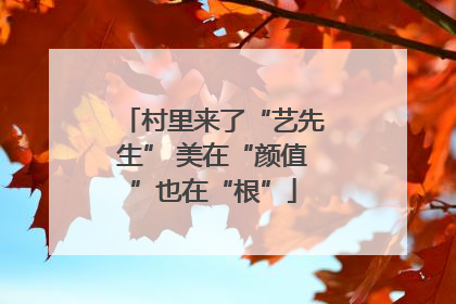 村里来了“艺先生” 美在“颜值”也在“根”