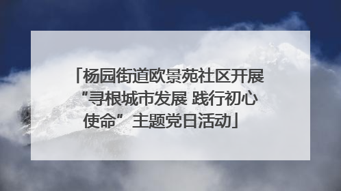 杨园街道欧景苑社区开展“寻根城市发展 践行初心使命”主题党日活动