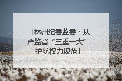 林州纪委监委：从严监督“三重一大” 护航权力规范