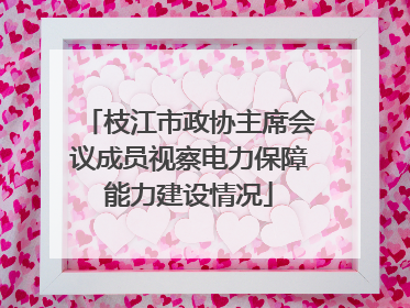 枝江市政协主席会议成员视察电力保障能力建设情况