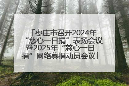 枣庄市召开2024年“慈心一日捐”表扬会议暨2025年“慈心一日捐”网络募捐动员会议