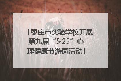 枣庄市实验学校开展第九届“5·25”心理健康节游园活动