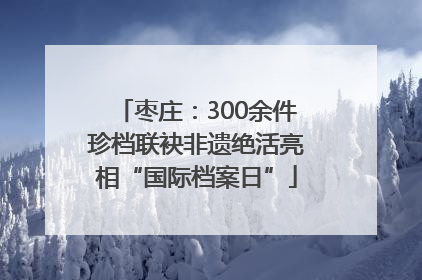 枣庄：300余件珍档联袂非遗绝活亮相“国际档案日”