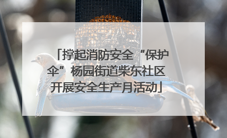 撑起消防安全“保护伞”杨园街道柴东社区开展安全生产月活动