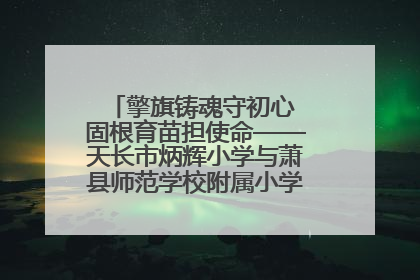 擎旗铸魂守初心 固根育苗担使命——天长市炳辉小学与萧县师范学校附属小学结对共建活动纪实