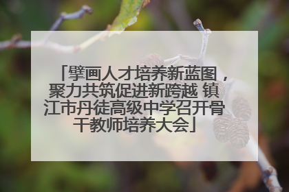 擘画人才培养新蓝图，聚力共筑促进新跨越 镇江市丹徒高级中学召开骨干教师培养大会