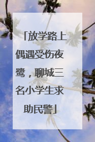 放学路上偶遇受伤夜鹭，聊城三名小学生求助民警