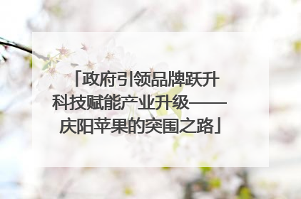 政府引领品牌跃升 科技赋能产业升级——庆阳苹果的突围之路