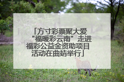 方寸彩票聚大爱 “福暖彩云南”走进福彩公益金资助项目活动在曲靖举行