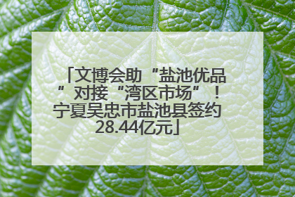 文博会助“盐池优品”对接“湾区市场”！宁夏吴忠市盐池县签约28.44亿元