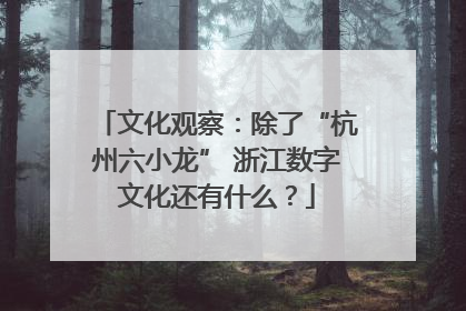 文化观察：除了“杭州六小龙” 浙江数字文化还有什么？