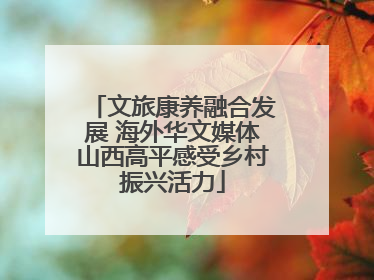 文旅康养融合发展 海外华文媒体山西高平感受乡村振兴活力