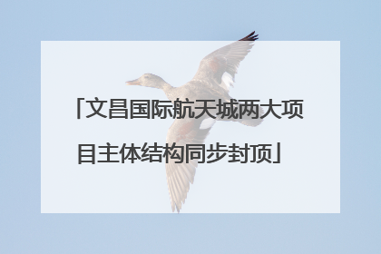 文昌国际航天城两大项目主体结构同步封顶