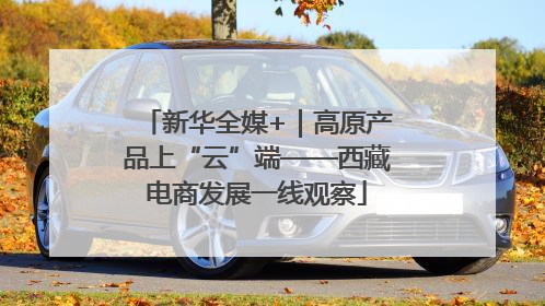 新华全媒+｜高原产品上“云”端——西藏电商发展一线观察