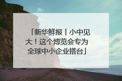 新华鲜报丨小中见大！这个博览会专为全球中小企业搭台