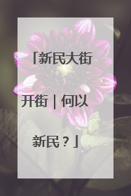 新民大街开街｜何以新民？