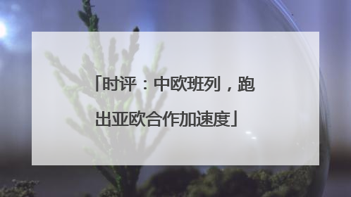 时评：中欧班列，跑出亚欧合作加速度