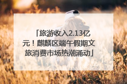 旅游收入2.13亿元！麒麟区端午假期文旅消费市场热潮涌动