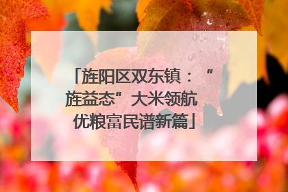 旌阳区双东镇：“旌益态”大米领航 优粮富民谱新篇