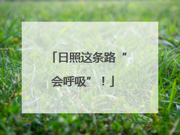 日照这条路“会呼吸”！
