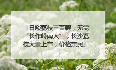 日啖荔枝三百颗，无需“长作岭南人”，长沙荔枝大量上市，价格亲民
