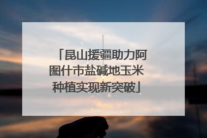 昆山援疆助力阿图什市盐碱地玉米种植实现新突破