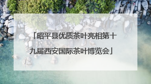 昭平县优质茶叶亮相第十九届西安国际茶叶博览会