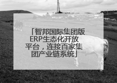 智邦国际集团版ERP生态化开放平台，连接百家集团产业链系统