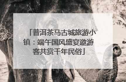 普洱茶马古城旅游小镇：端午国风盛宴邀游客共赏千年民俗