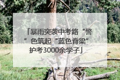 暴雨突袭中考路“警”色筑起“蓝色脊梁”护考3000余学子