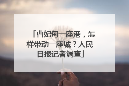 曹妃甸一座港，怎样带动一座城？人民日报记者调查