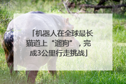 机器人在全球最长猫道上“遛狗”，完成3公里行走挑战